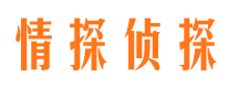 沧浪侦探公司